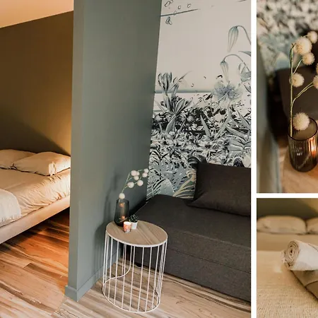 Um Apartment Saint-Chamond
